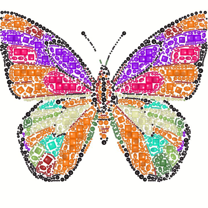 Borboleta de padrão grande