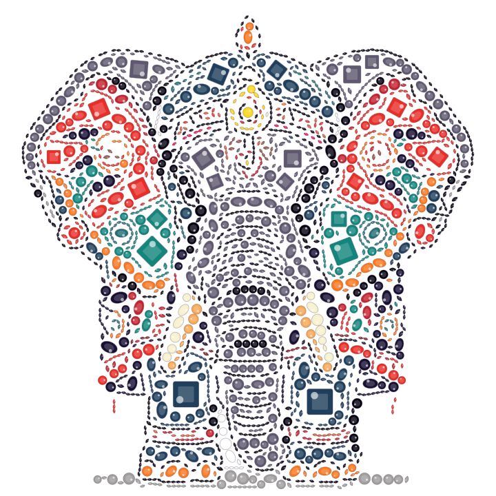Elefante com manta