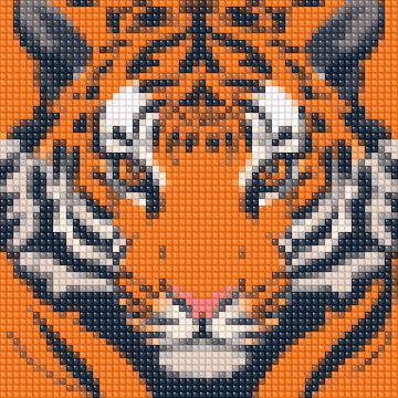 Olho de tigre