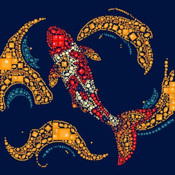 Carpa koi ornamental