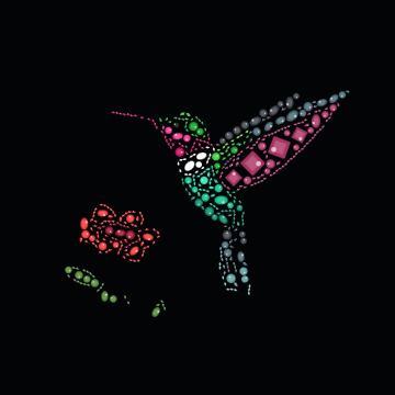 Beija-flor e flor