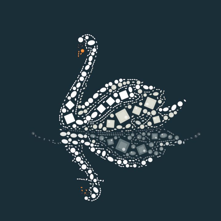 Cisne na água